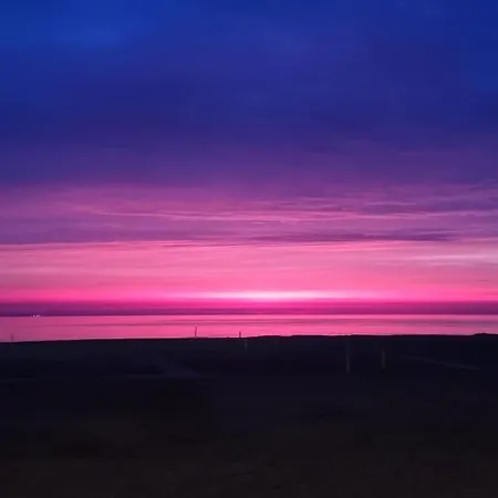 La Volpe Nella Pineta *