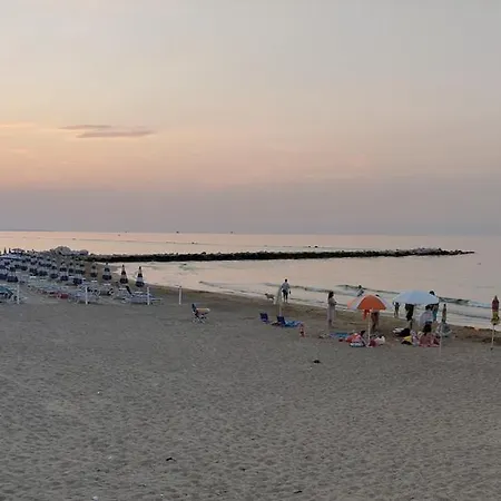 La Volpe Nella Pineta