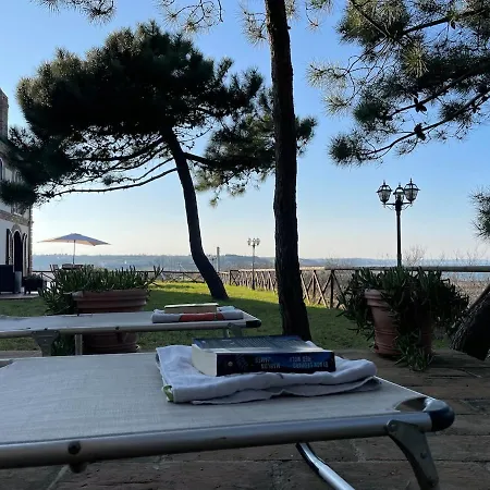 La Volpe Nella Pineta