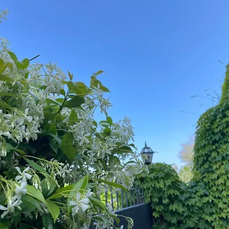 Villa La Volpe Nella Pineta