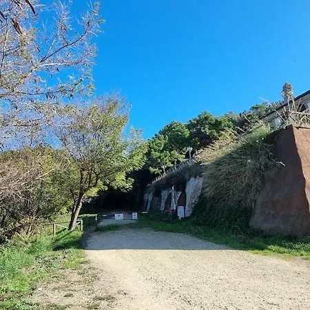 La Volpe Nella Pineta Villa *