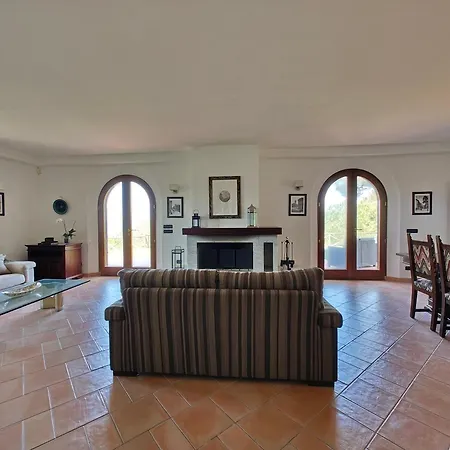 La Volpe Nella Pineta *