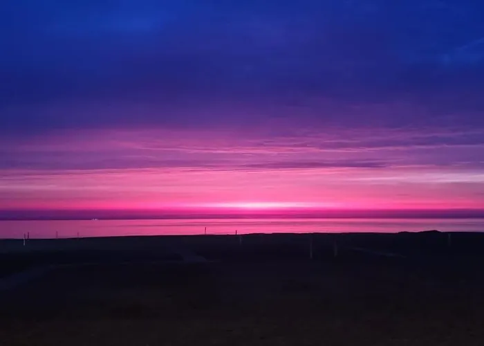 La Volpe Nella Pineta *