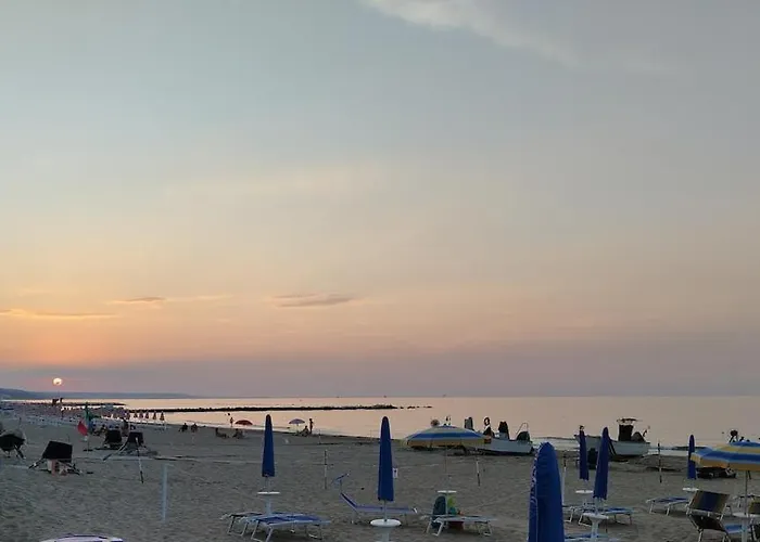 La Volpe Nella Pineta Casalbordino