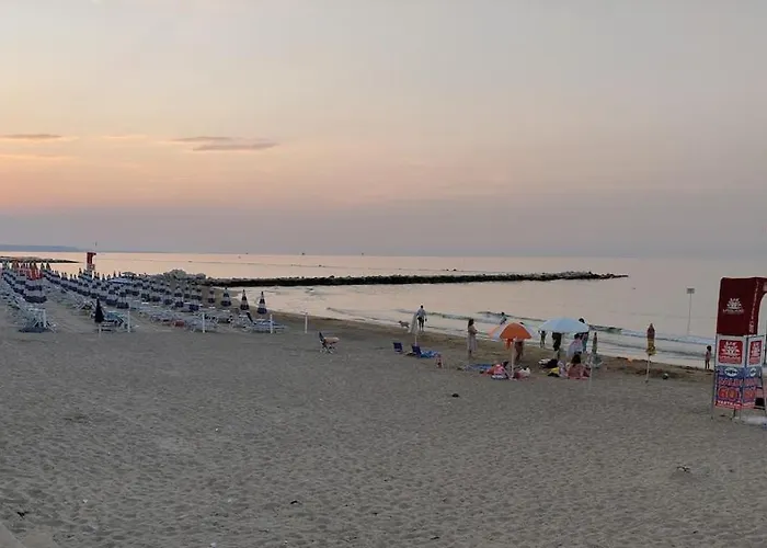 La Volpe Nella Pineta