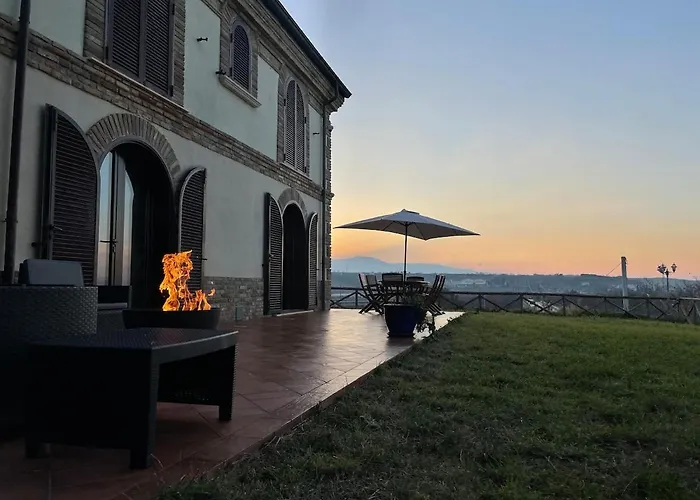 La Volpe Nella Pineta *