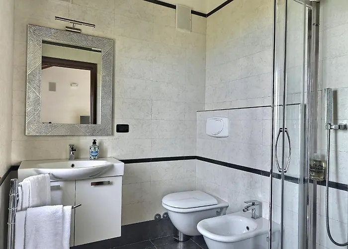 La Volpe Nella Pineta *