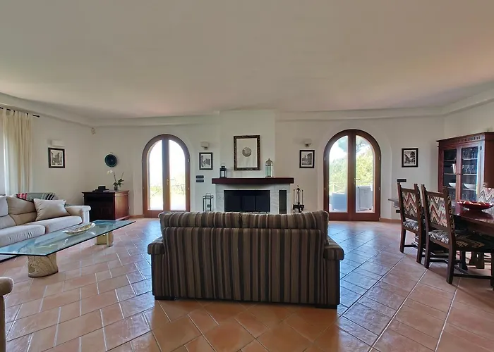 La Volpe Nella Pineta *