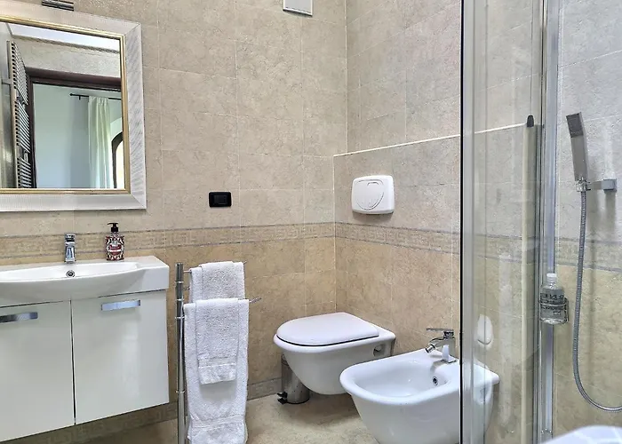 La Volpe Nella Pineta